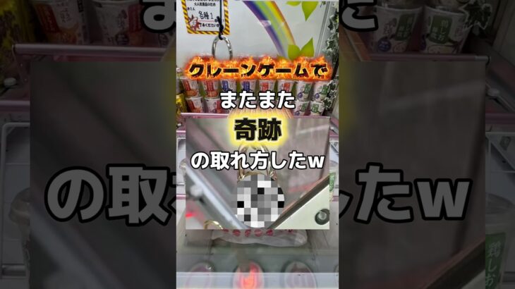 最後まで見てほしい…まじで奇跡起きた。100日間で1万人いけるのか/13日目 #クレーンゲーム #クレーンゲーム攻略 #ufoキャッチャー #ゲームセンター #ゲーセン