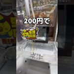 100円ケッタッキー取ってみた#UFOキャッチャー #クレーンゲーム  #ゲームセンター #攻略 #shorts  #youtubeshorts