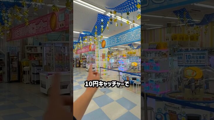 鹿児島のゲーセンで10円キャッチャー1000円チャレンジしたらまさかの結果に、、、#shorts #クレーンゲーム #ufoキャッチャー #ゲーセン #ゲームセンター #arcade