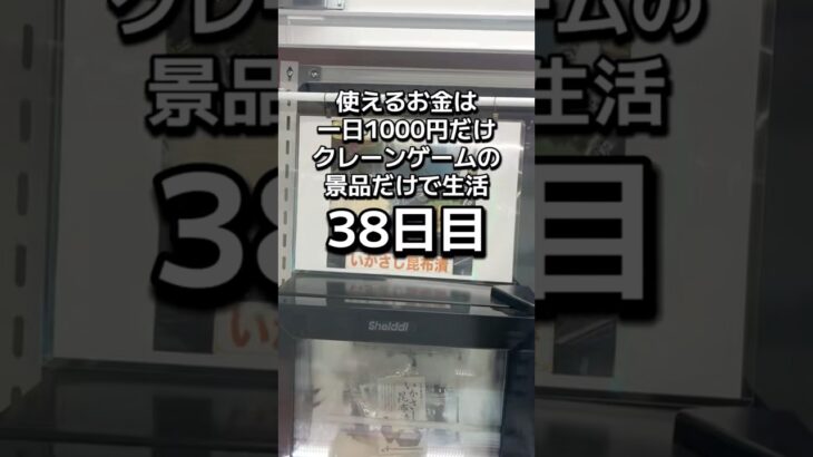 1日1000円しか使えないクレーンゲームの景品だけで生活38日目 #クレーンゲーム #clawmachine #ゲームセンター #ufoキャッチャー #ゲーセン #フック設定