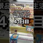 1日1000円しか使えないクレーンゲームの景品だけで生活41日目 #クレーンゲーム #clawmachine #ゲームセンター #ufoキャッチャー #ゲーセン