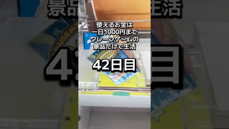 1日1000円しか使えないクレーンゲームの景品だけで生活42日目 #クレーンゲーム #clawmachine #ゲームセンター #ufoキャッチャー #ゲーセン #フック設定