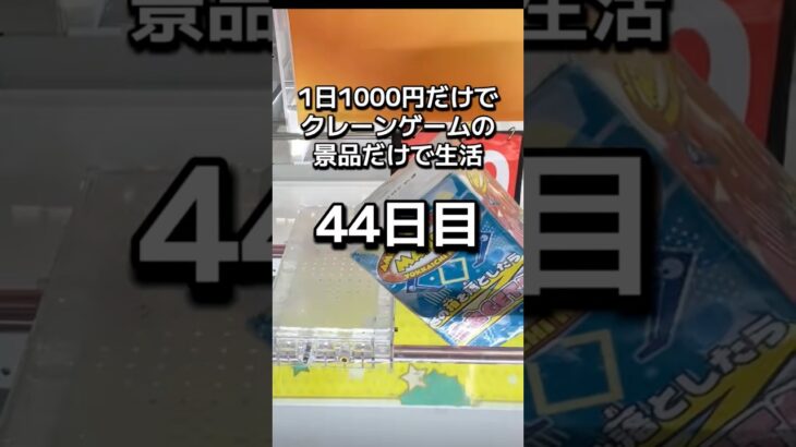 1日1000円しか使えないクレーンゲームの景品だけで生活44日目 #クレーンゲーム #clawmachine #ゲームセンター #ufoキャッチャー #ゲーセン #フック設定