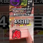1日1000円しか使えないクレーンゲームの景品だけで生活45日目 #クレーンゲーム #ゲームセンター #clawmachine #ufoキャッチャー #ゲーセン #フック設定