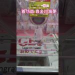 プライズ攻略日記115 #クレーンゲーム #プライズ獲得 #ゲームセンター #ufoキャッチャー #アミューズメント限定 #チャンネル登録お願いします #バズれ #ゲーセン #ufoキャッチャー動画