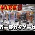 【クレーンゲーム】世界で1番獲れる場所へ！全てが規格外のお店で暴れます！【回遊館養父店・UFOキャッチャー】