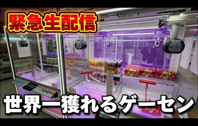 【クレーンゲーム】世界で1番獲れる場所へ！全てが規格外のお店で暴れます！【回遊館養父店・UFOキャッチャー】
