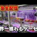 【クレーンゲーム】世界で1番獲れる場所へ！全てが規格外のお店で暴れます！【回遊館養父店・UFOキャッチャー】
