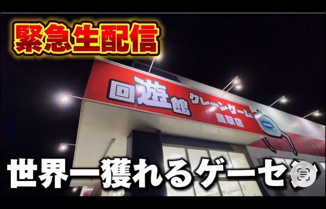 【クレーンゲーム】世界で1番獲れる場所へ！全てが規格外のお店で暴れます！【回遊館鳥取店・UFOキャッチャー】