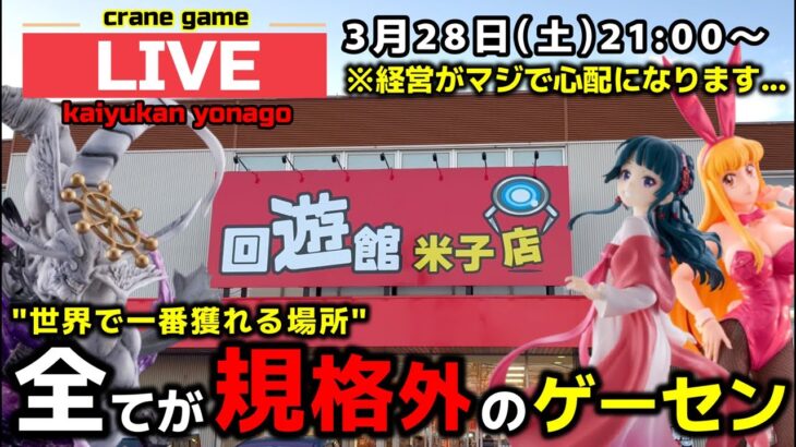 【クレーンゲーム】世界で1番獲れる場所へ！全てが規格外のお店で暴れます！【回遊館米子店・UFOキャッチャー】