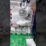 ただの20代クレーンゲーマーの攻略動画‼️#クレーンゲーム #ゲームセンター #ゲーセン #ufoキャッチャー #clawmachine #ゲーム実況 #ゲーム配信 #shorts #ちいかわ