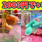 【回遊館 岐阜店 2000円チャレンジ】 #クレーンゲーム #ufoキャッチャー #プライズ獲得 #プライズ #ゲーム
