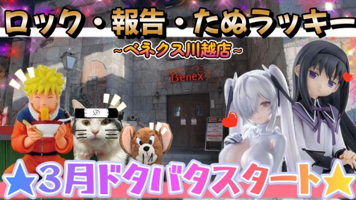 【勉強258日目】3月新景品突入編🌸ロック・やっちまった・たぬビビり！楽しくスタートです★～ベネクス川越店～