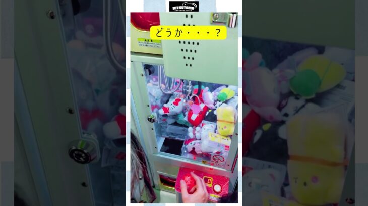 クレーンゲーム配信(26/3/1)@レイクタウンさん（サンリオ – シナモロール・キティ）　@りつとまチャンネル #りつとまチャンネル #クレーンゲーム #ufoキャッチャー #ufocatcher