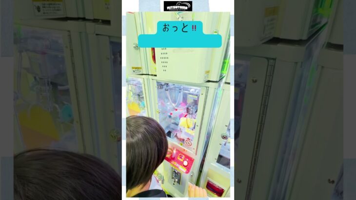 クレーンゲーム配信(26/3/1)@レイクタウンさん（サンリオ – ポムポムプリン）　@りつとまチャンネル #りつとまチャンネル #クレーンゲーム #ufoキャッチャー #ufocatcher