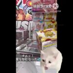 【クレゲ】快獣ブースカ300円ゲット！　#クレーンゲーム  #快獣ブースカ  #昭和レトロ  #ufoキャッチャー