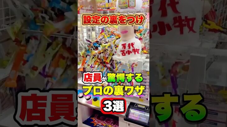 見つけたら絶対にやった方が良い設定3選【9割が知らないクレーンゲーム講座】 #shorts #クレーンゲーム #ufoキャッチャー # ゲーセン #ゲームセンター #arcade