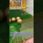 #390 とある裏技で豪華景品GETチャンス！？金カプセルキャッチャーやってみた！#shorts #ufoキャッチャー #ゲームセンター #カプセルトイ #ラブブ #おすすめ