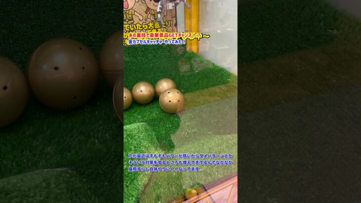 #390 とある裏技で豪華景品GETチャンス！？金カプセルキャッチャーやってみた！#shorts #ufoキャッチャー #ゲームセンター #カプセルトイ #ラブブ #おすすめ