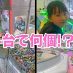 クレーンゲーム4台挑戦！合計何個とれた!?