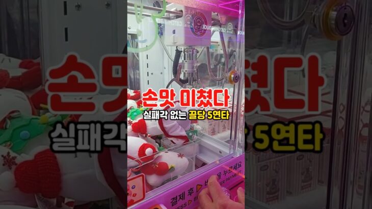 손맛미쳤다 | 실패각없는 끌당 5연타 #미니뽑기 #인형뽑기 #끌당