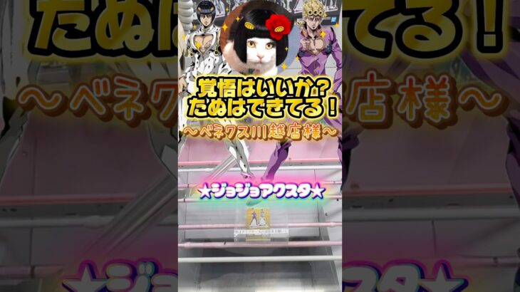 ジョジョアクスタ⭐️#クレーンゲーム #ジョジョ5部 #アクスタ #プライズ景品 #ブチャラティ #ジョルノ #ねこ