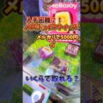 【入手困難】メルカリで5000円するメロジョイスクイーズがクレーンゲームに入ってたので、いくらで取れるのか検証してみた🔥