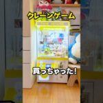 ネットで6万円のクレーンゲーム買っちゃったwww