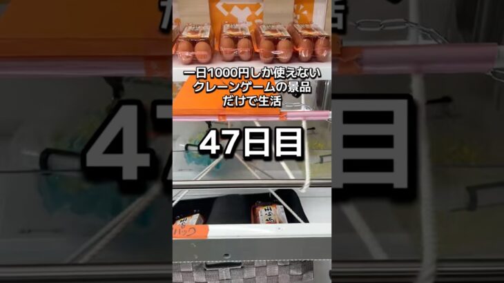 体重70キロになるまで終われないクレーンゲームの景品だけで生活47日目 #クレーンゲーム #clawmachine #ゲームセンター #ufoキャッチャー #ゲーセン #フック設定