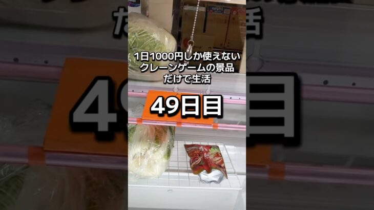 体重70キロになるまで終われないクレーンゲームの景品だけで生活49日目 #クレーンゲーム #clawmachine #ゲームセンター #ufoキャッチャー #ゲーセン #フック設定