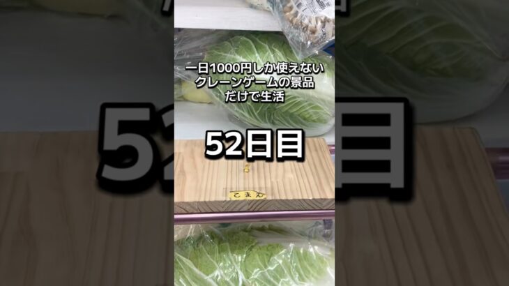 体重70キロになるまで終われないクレーンゲームの景品だけで生活52日目 #クレーンゲーム #clawmachine #ゲームセンター #ufoキャッチャー #ゲーセン #フック設定
