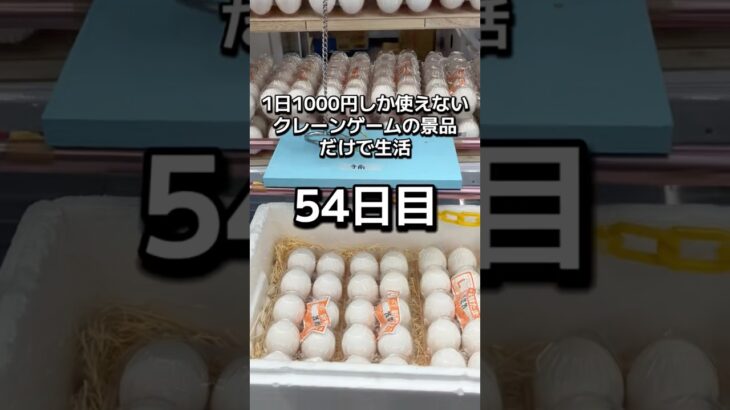 体重70キロになるまで終われないクレーンゲームの景品だけで生活54日目 #クレーンゲーム #ゲームセンター #clawmachine #ufoキャッチャー #ゲーセン #フック設定
