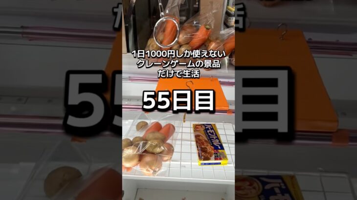 体重70キロになるまで終われないクレーンゲームの景品だけで生活55日目 #clawmachine #クレーンゲーム #ゲームセンター #ufoキャッチャー #ゲーセン #フック設定