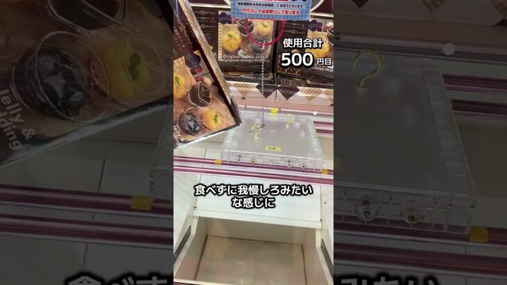 体重70kgになるまで1日1000円しか使えないクレーンゲームの景品だけで生活31日目 #クレーンゲーム #clawmachine #ufoキャッチャー #ゲームセンター #ゲーセン #フック設定