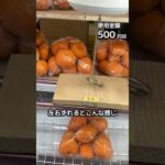 体重70kgになるまで1日1000円しか使えないクレーンゲームの景品だけで生活32日目 #クレーンゲーム #clawmachine #ufoキャッチャー #ゲームセンター #ゲーセン #フック設定