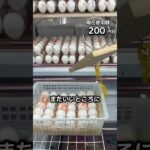 体重70kgになるまで1日1000円しか使えないクレーンゲームの景品だけで生活34日目 #クレーンゲーム #clawmachine #ゲームセンター #ufoキャッチャー #ゲーセン #フック設定