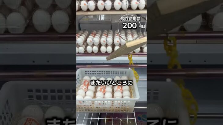 体重70kgになるまで1日1000円しか使えないクレーンゲームの景品だけで生活34日目 #クレーンゲーム #clawmachine #ゲームセンター #ufoキャッチャー #ゲーセン #フック設定