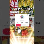 8日目/アミパラのフック設定を完全攻略🪝 #クレーンゲーム #クレーンゲーム攻略 #ufoキャッチャー #ゲームセンター #100日後