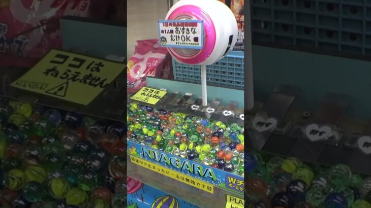 ナイアガラでA賞に入った#クレーンゲーム