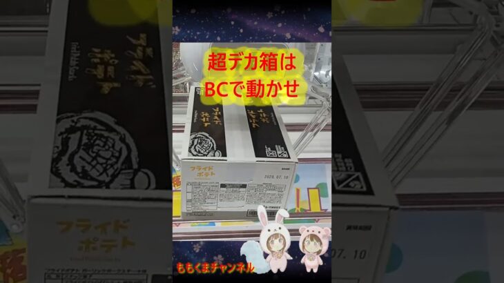 【クレーンゲーム】超デカ箱×BC＝最強！？この動き、癖になる。【ももくま】#橋渡し #shorts　#バランスキャッチ