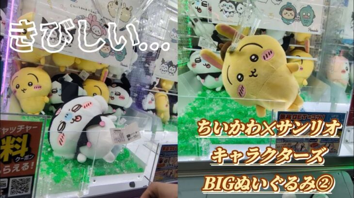 ちいかわサンリオキャラクターズBIGぬいぐるみ②☆ 予想はしてたけど…厳しい。【クレーンゲーム】
