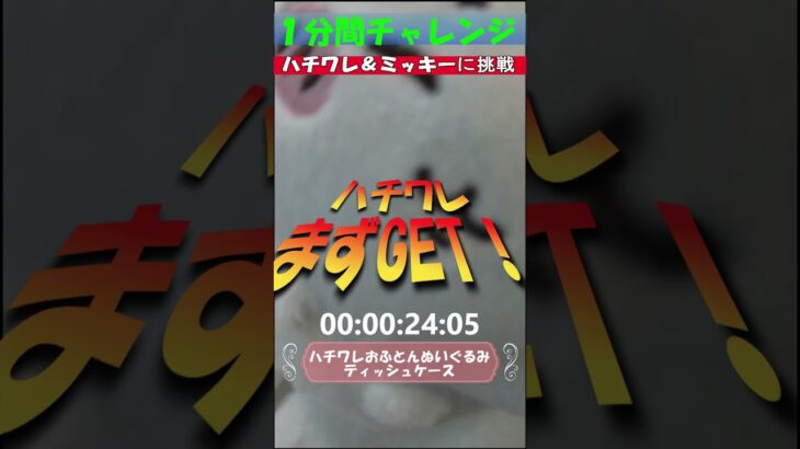 【速報！クレーンゲーム１分間チャレンジ！】クレーンゲーム達人検定２級のサマー選手が、１分間で、ハチワレおふとんぬいぐるみティッシュケースとミッキーマウス　アジアンテイストBIG　ぬいぐるみに挑戦だ！