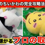 【クレーンゲーム】ちいかわ✖︎サンリオキャラクターズBIGぬいぐるみ②など攻略５選！