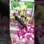 😳BIGぬいぐるみ攻略！ポムポムプリン＆クロミ＆キティGET🔥