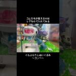 【最近よく会う】ゴンベGET！！　#ポケットモンスター #ポケモン #pokemon #ぬいぐるみ #クレーンゲーム