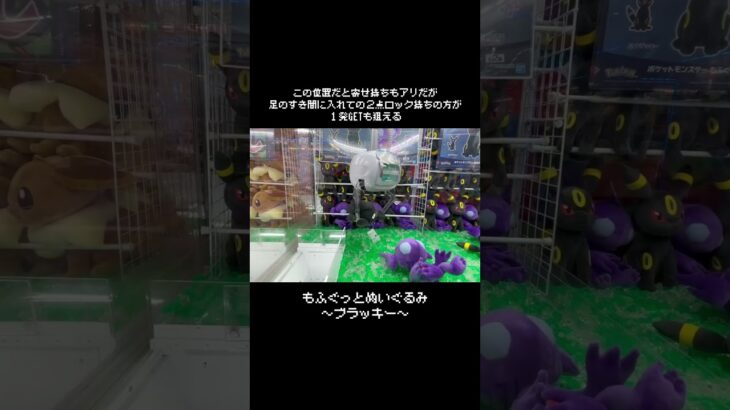 【攻略といえばこれ】ブラッキーならではの狙いで１発GET！！　#ポケットモンスター #ポケモン #pokemon #ぬいぐるみ #クレーンゲーム