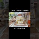 【中身は何だろな】お楽しみ袋があったのでGETして開封してみたらまさかの中身だった！？　#ポケットモンスター #ポケモン #pokemon #ぬいぐるみ #クレーンゲーム