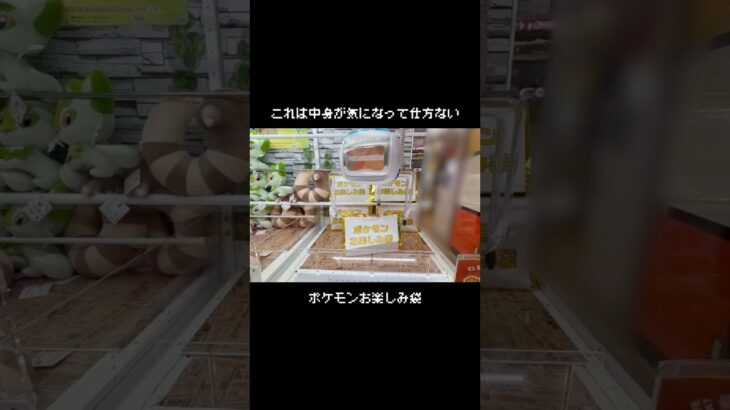 【中身は何だろな】お楽しみ袋があったのでGETして開封してみたらまさかの中身だった！？　#ポケットモンスター #ポケモン #pokemon #ぬいぐるみ #クレーンゲーム