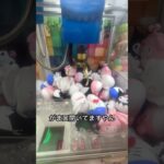 店員は教えてくれない！？景品GET裏技教えます❣️ #クレーンゲーム #ufoキャッチャー #シナモロール #裏技