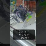 呪術廻戦 魔虚羅をまさかの一撃GET! #クレーンゲーム攻略 #ufoキャッチャー攻略 #おすすめにのりたい #youtubeshorts